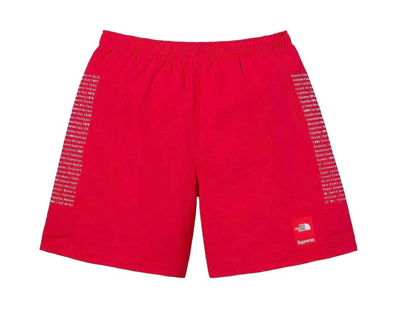 Supreme/ The North Face® Nylon Shorts (Size Medium Only